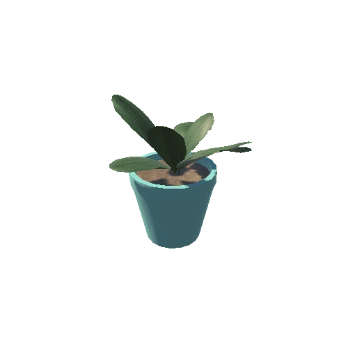 Plant 3